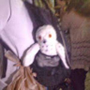 Meet your Posher, Joey